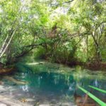 Visit Bom Jardim District in Nobres – Brazil