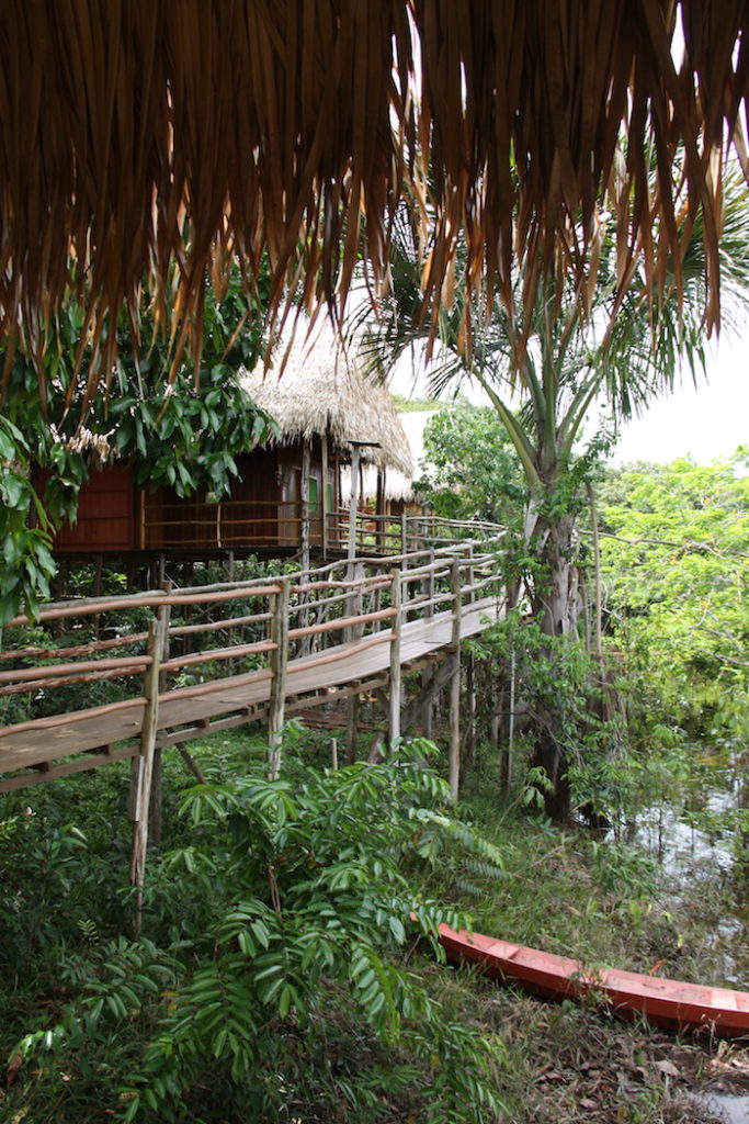 Cabins Tariri Lodge Jungle Hotel Huts