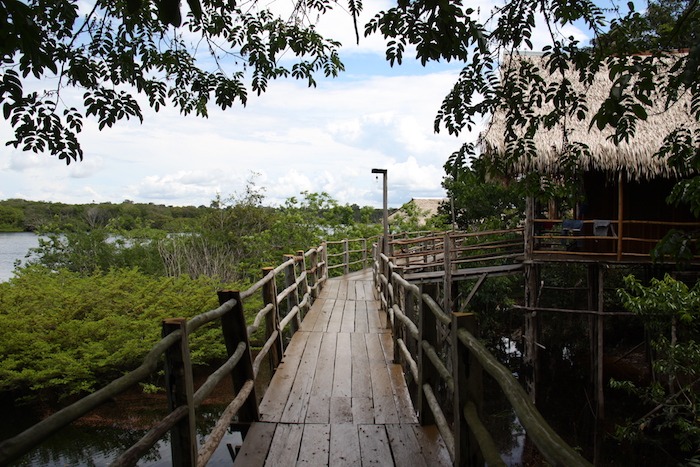 Tariri Amazon Lodge Roteiro Amazônia