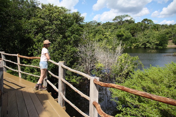 View Jungle Hotel