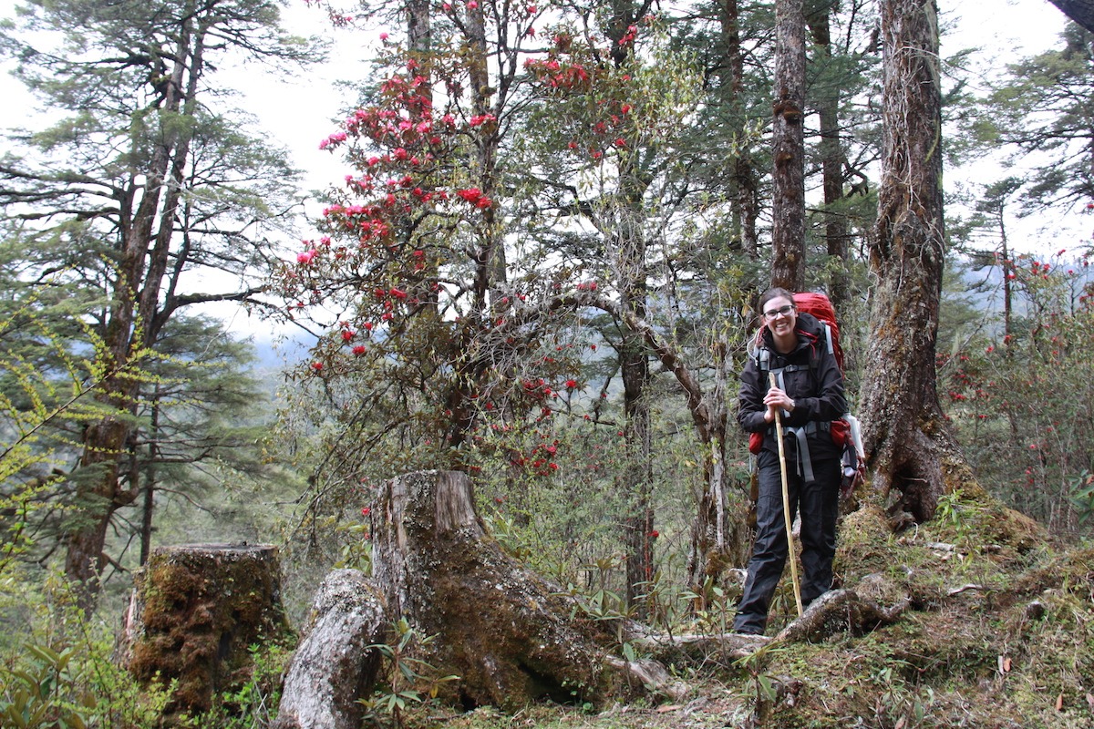 Trilhas no Butão: The Owl Trek - Rhododendron