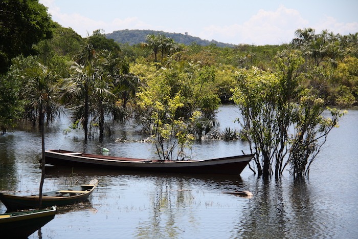 O que fazer Alter do Chão Floresta Encantada