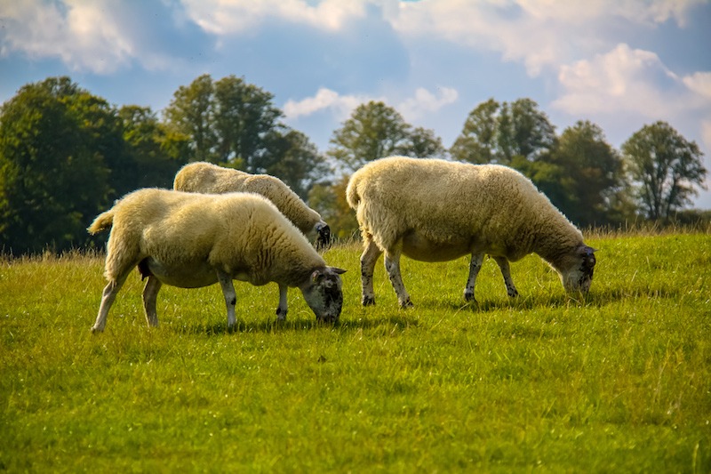 Melhores lugares para visitar na Inglaterra