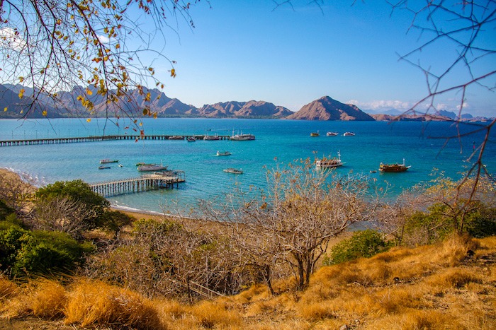 Ilha Komodo - Indonésia - Dragão