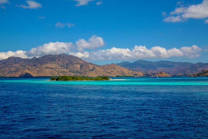 Ilha Komodo dragão de Komodo Indonésia