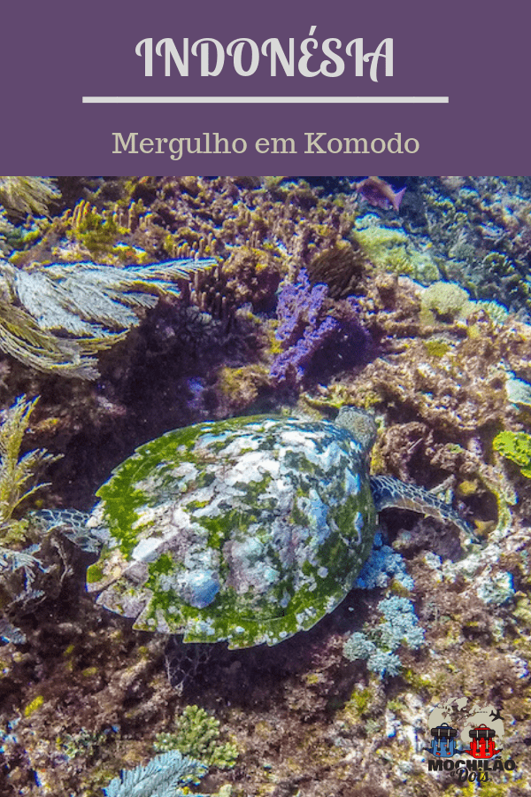 Mergulho em Komodo