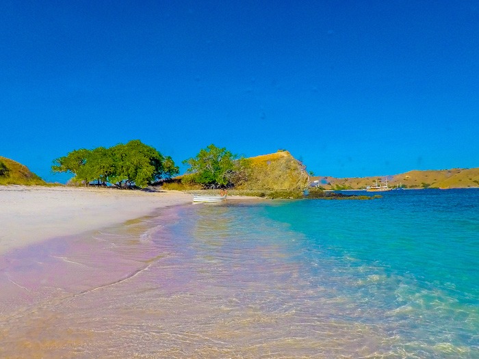 Motivos para visitar a Indonésia: Pink Beach