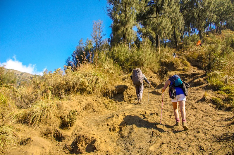 Subida Monte Rinjani Primeiro Dia subindo o vulcão Monte Rinjani