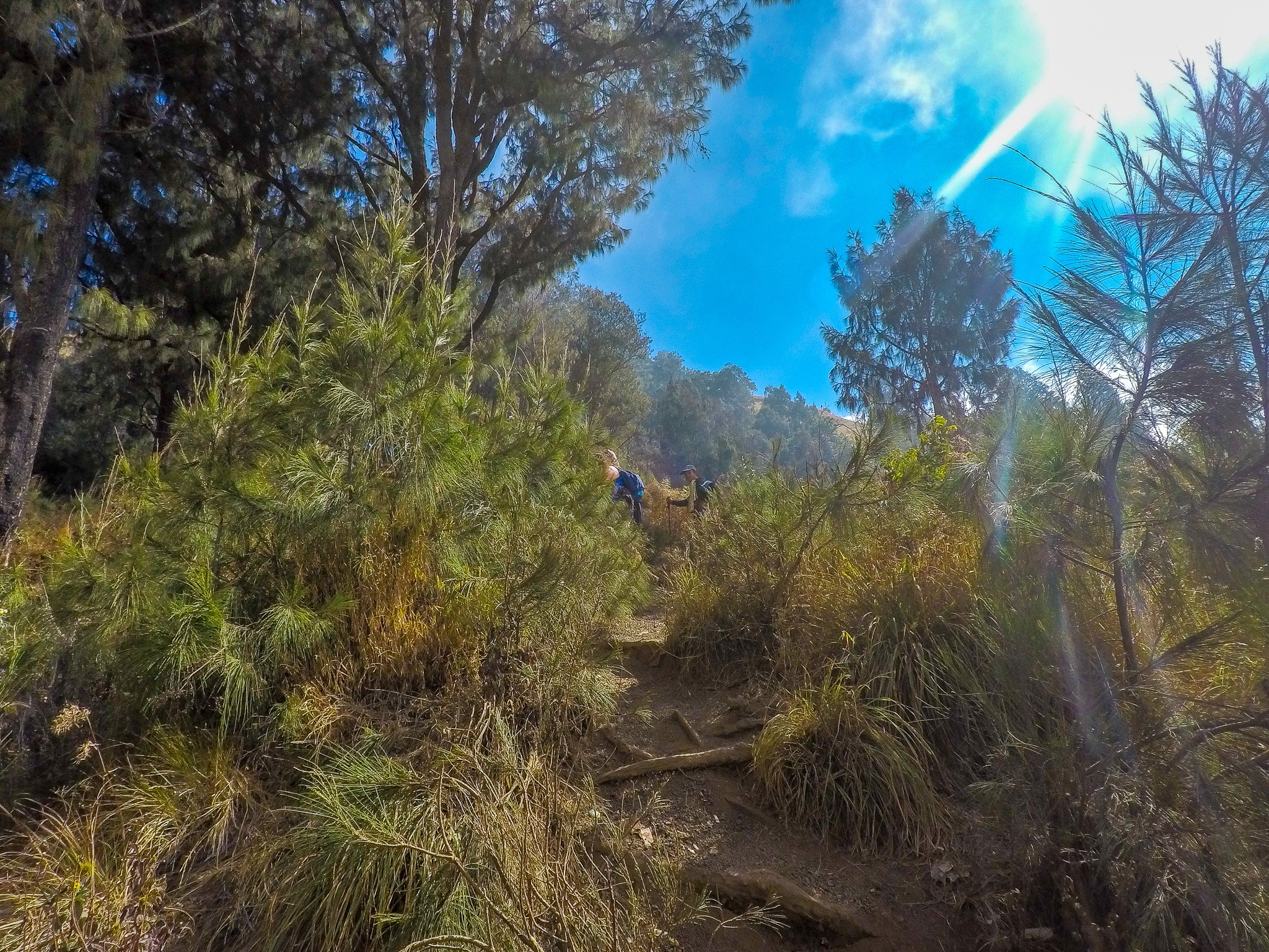 Trilha Primeiro Dia Trilha Primeiro Dia Monte Rinjani