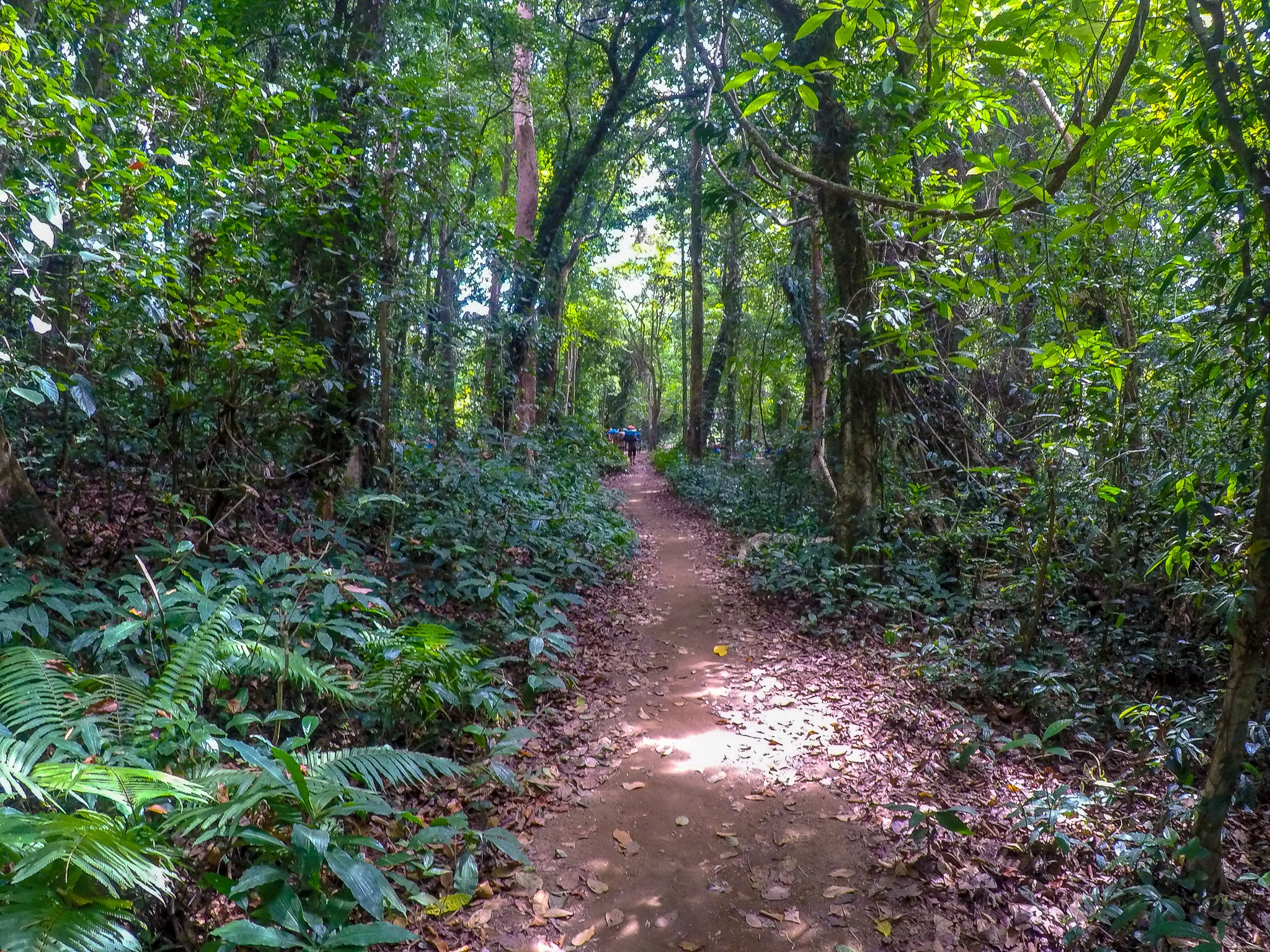Trilha Terceiro Dia Trilha Dia 3 - Monte Rinjani