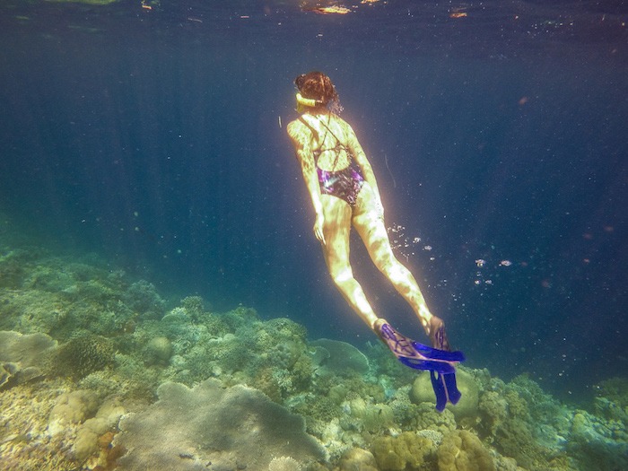 Snorkel Wangi Wangi Wakatobi Indonesia
