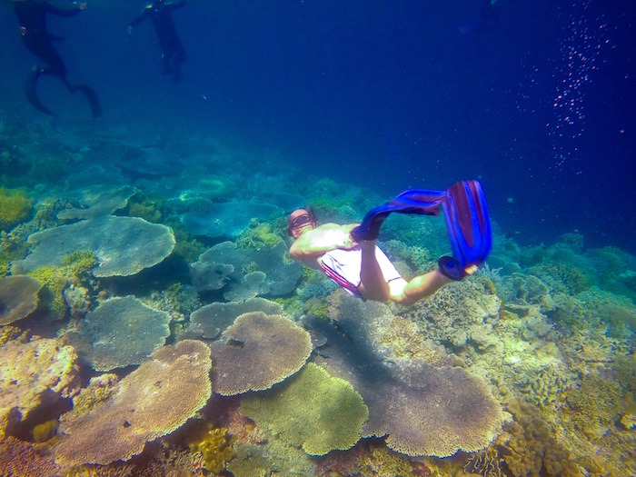 Snorkel em Wangi Wangi Wakatobi Indonesia