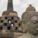 Yogyakarta: All You Need to Know to Visit The Royal City