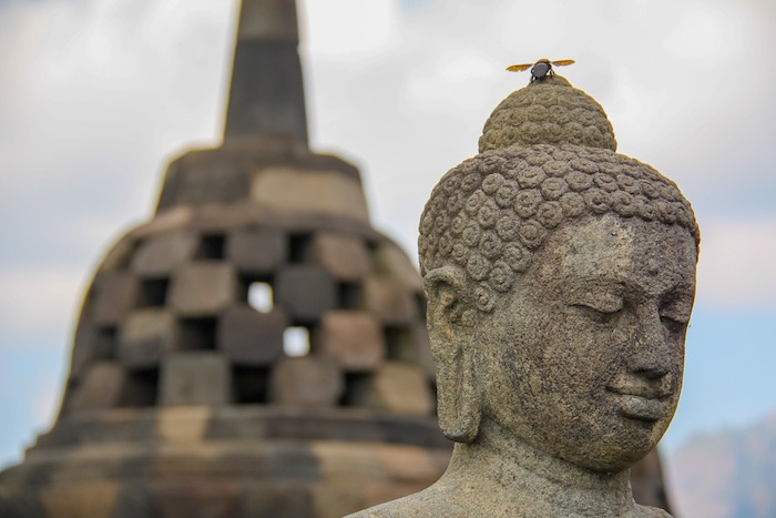 Borobudur-Yogyakarta