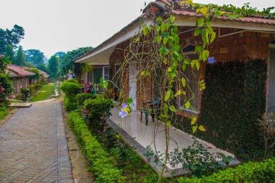 Estrutura de um ashram de yoga