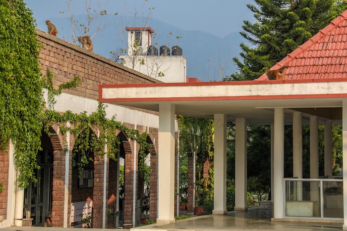 Retiro de Yoga em Ahsram na Índia