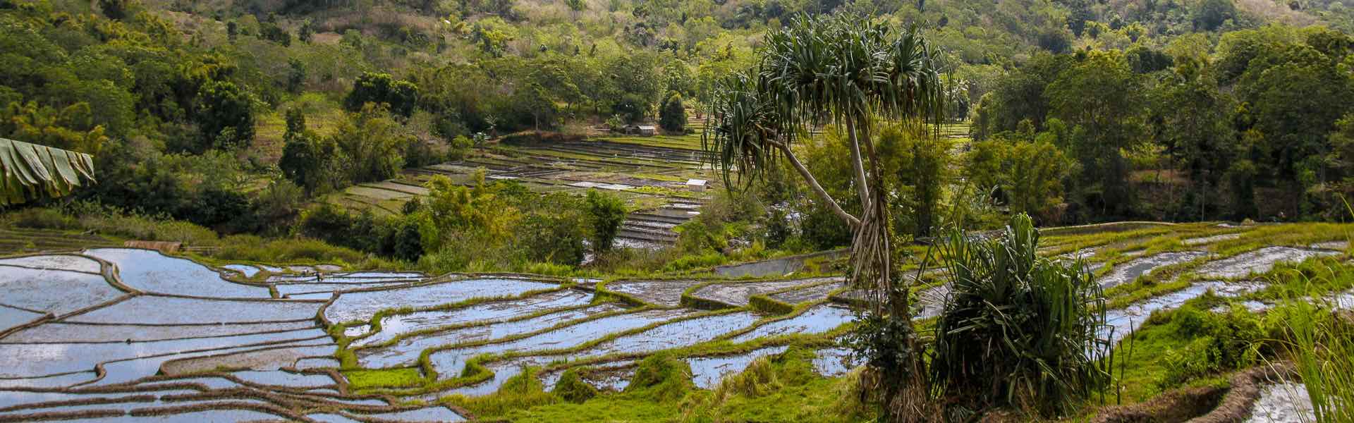 VIAGEM PARA INDONÉSIA: COMO ORGANIZAR O ROTEIRO E QUANTO CUSTA
