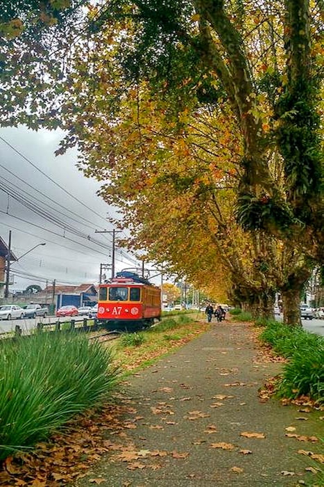 O que fazer em Campos do Jordão