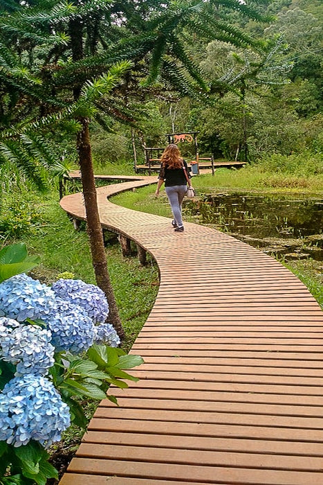 O que fazer em Campos do Jordão