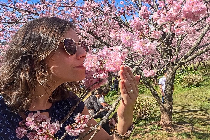 O que fazer em Campos do Jordão