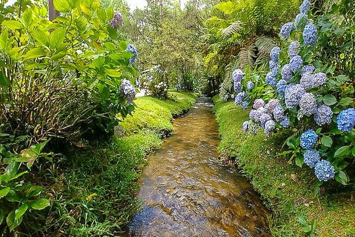 O que fazer em Campos do Jordão