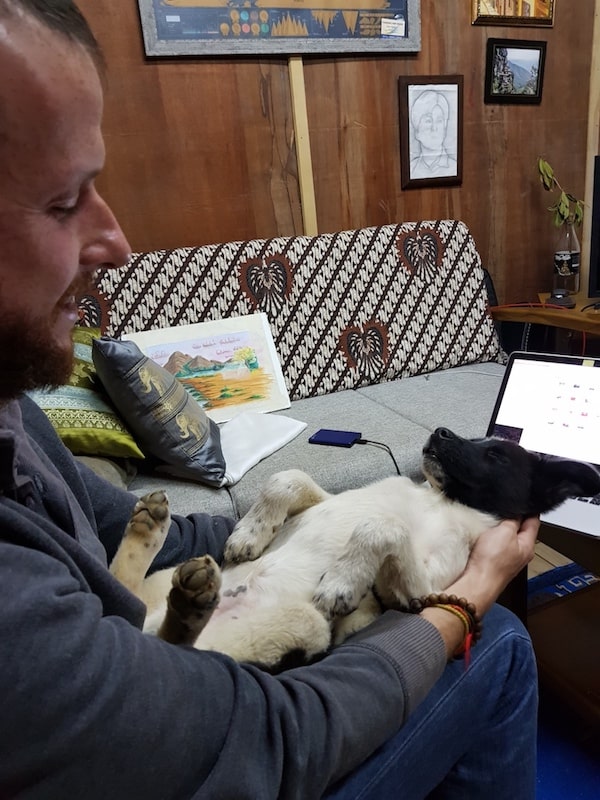 Curiosidades do Butão - Cachorros