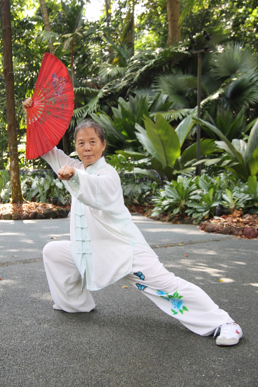 Jardim Botanico de Singapura O que fazer em Singapura