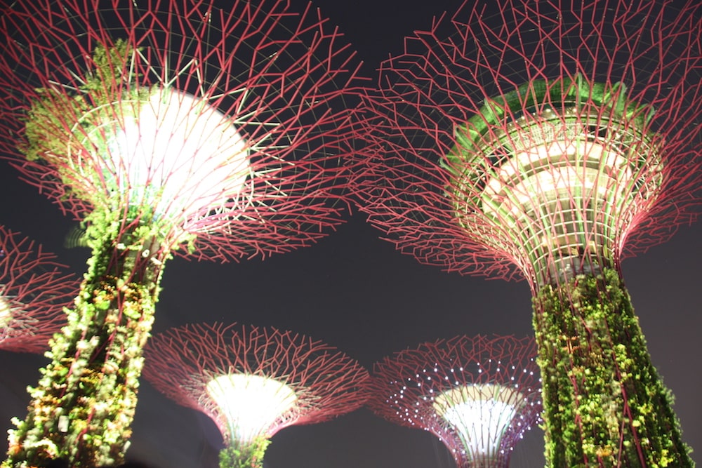 Gardens by the bay