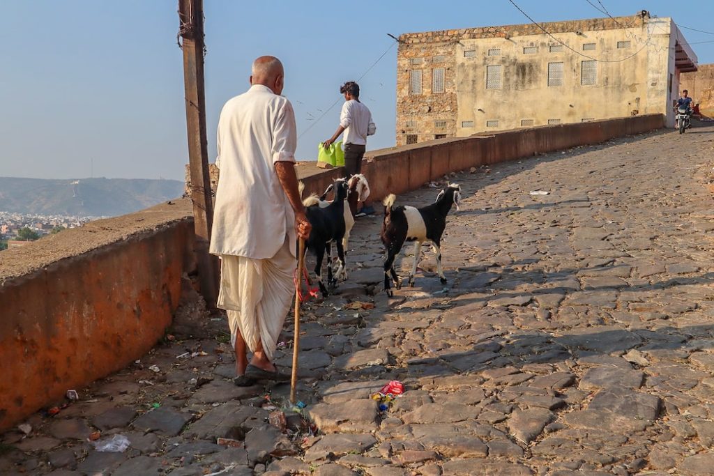 Como se locomover em Jaipur