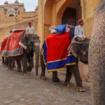 O que fazer em Jaipur – A Cidade Cor-de-Rosa da Índia