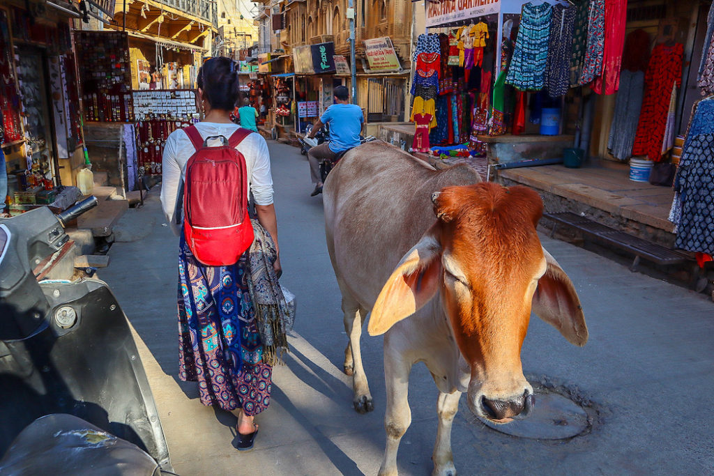 O que fazer em Jaisalmer