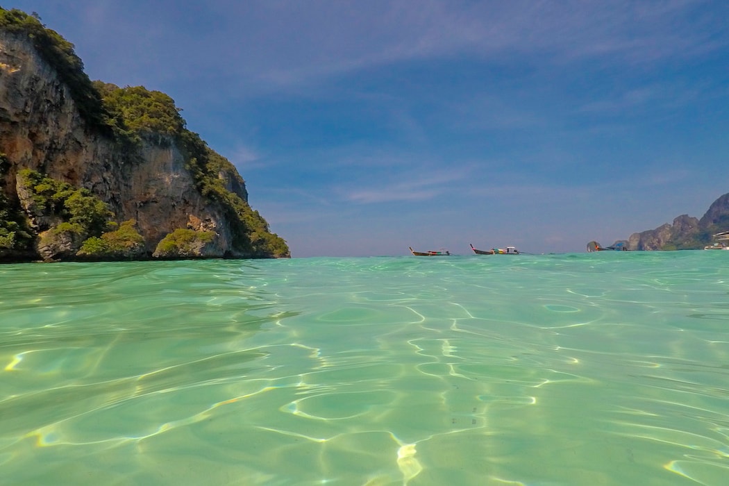 Monkey Beach