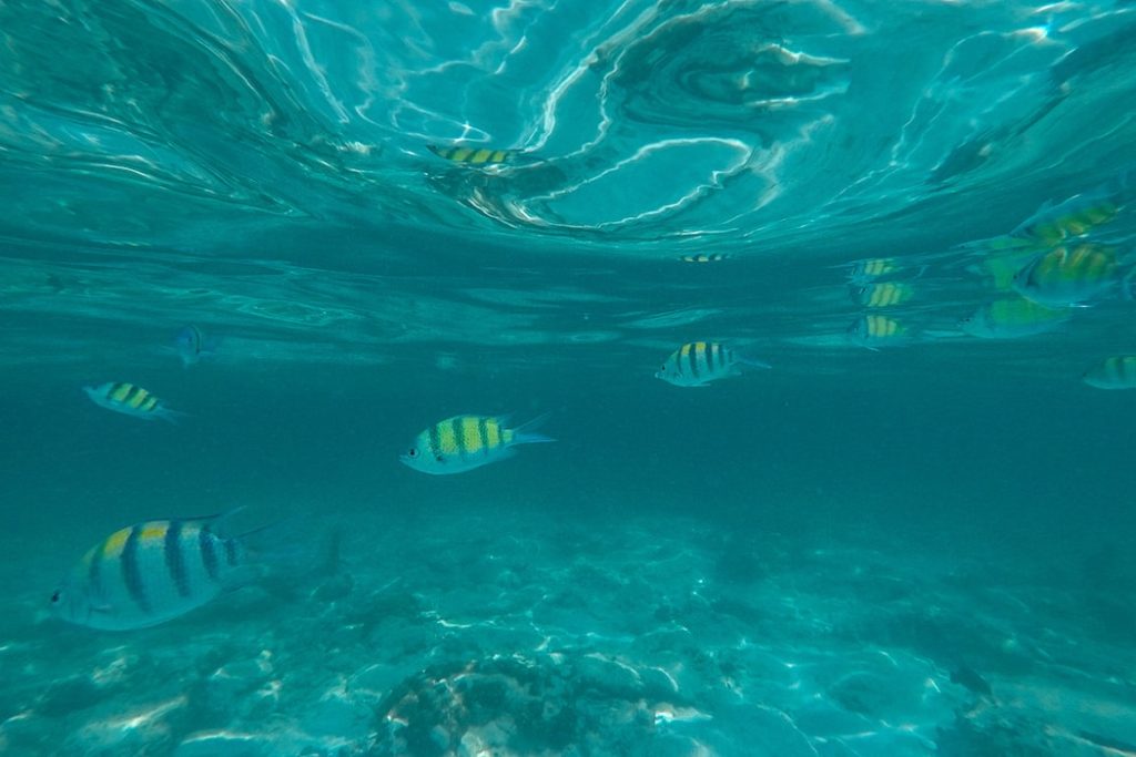 Passeio em Phi Phi