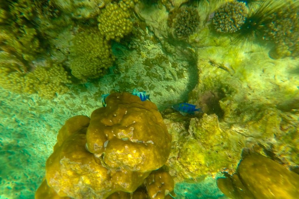Passeio em Phi Phi