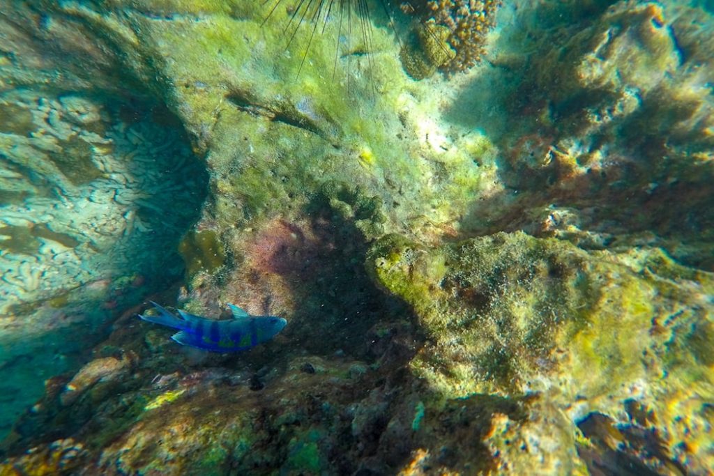 Passeio em Phi Phi