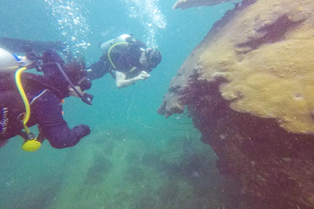 Mergulho em Koh Tao