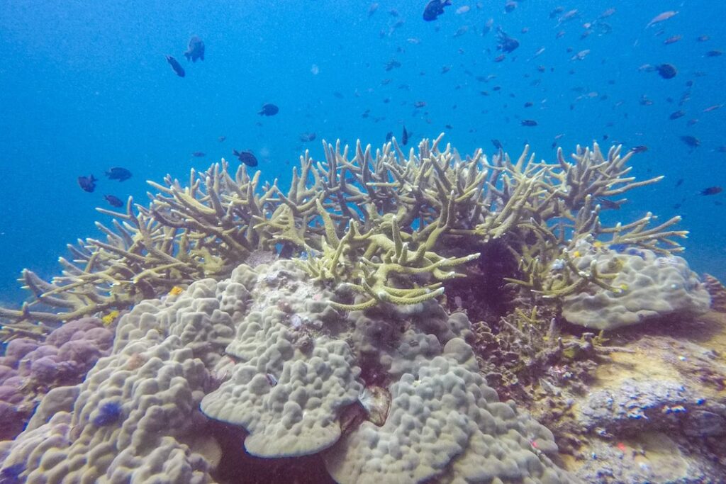 Mergulho em Koh Tao