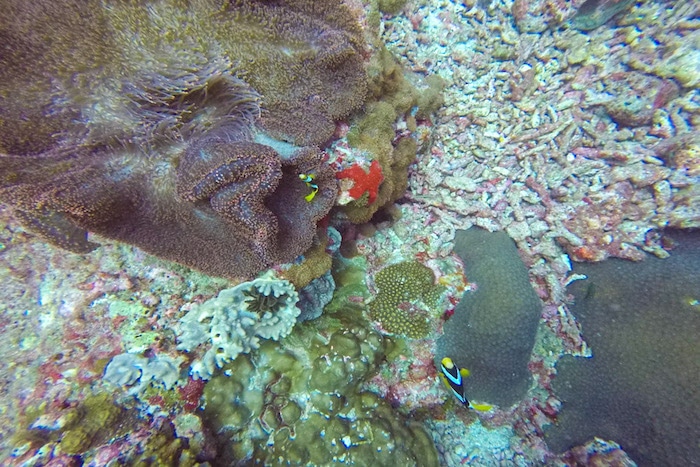 Mergulho Ilhas Similan