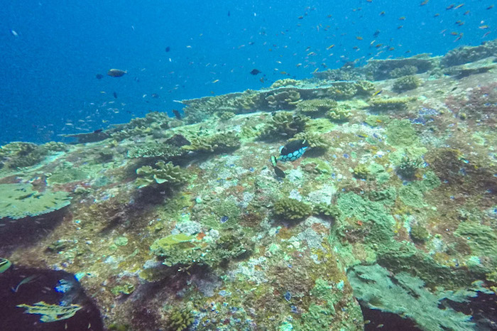 Mergulho Ilhas Similan