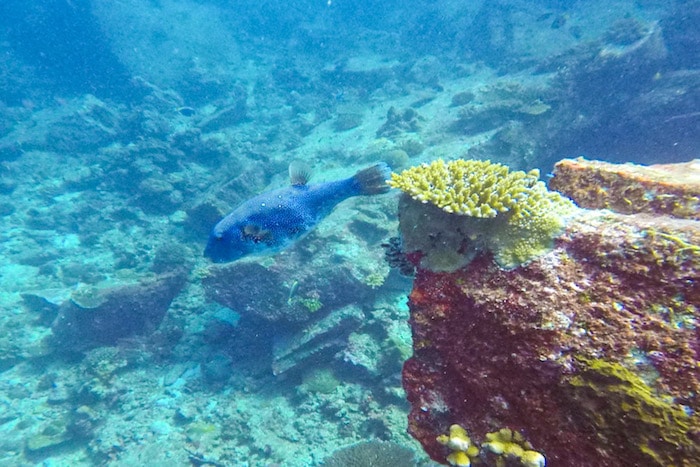 Mergulho Ilhas Similan