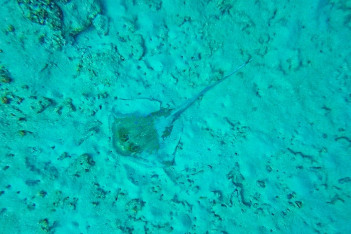 Mergulho Ilhas Similan