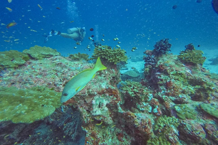 Mergulho Ilhas Similan