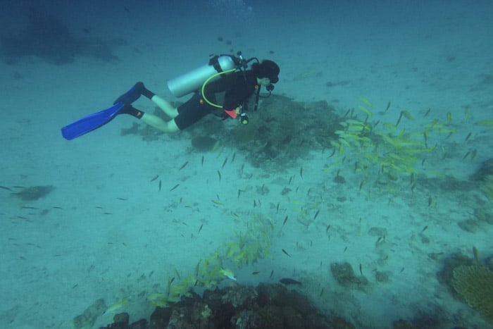 Mergulho Ilhas Similan